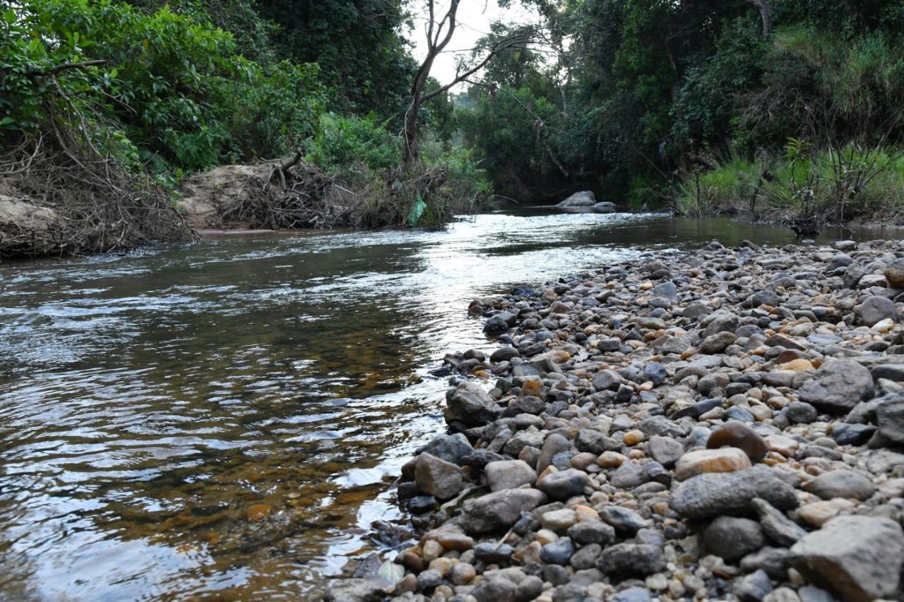 Homestay Nature - Hill Mountain View & River Access Sakleshpur