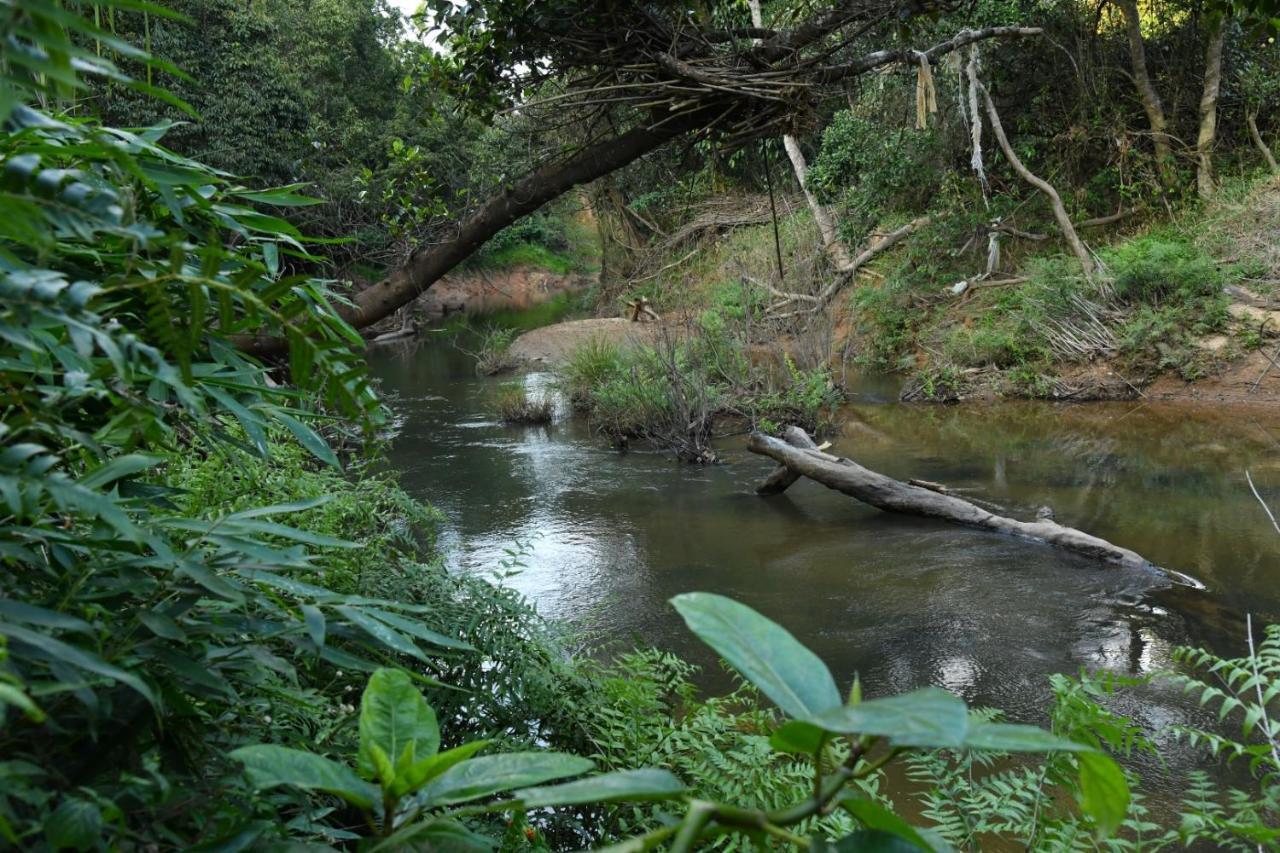 Nature - Hill Mountain View & River Access Homestay