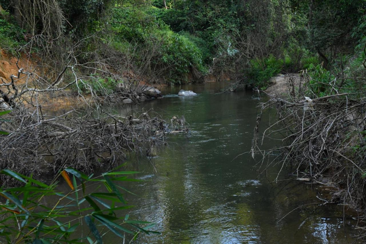 Nature - Hill Mountain View & River Access * Sakleshpur