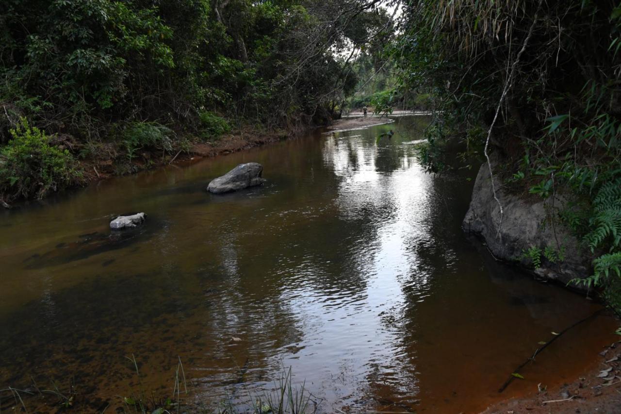 Nature - Hill Mountain View & River Access *