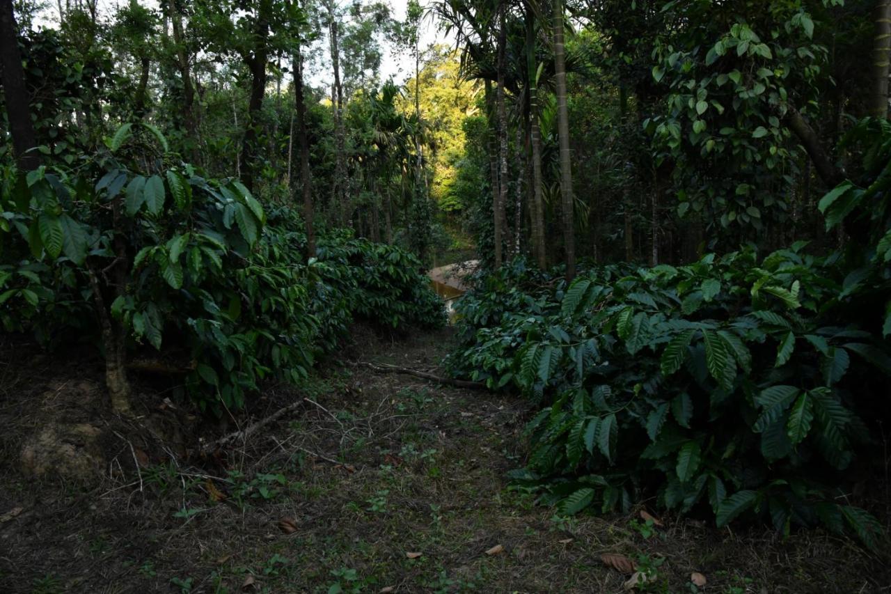 Nature - Hill Mountain View & River Access Homestay Sakleshpur