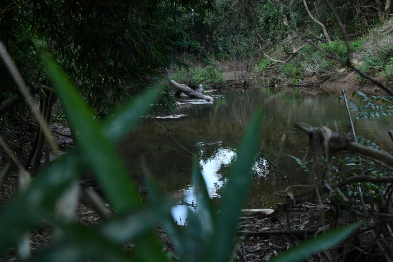 Homestay Nature - Hill Mountain View & River Access